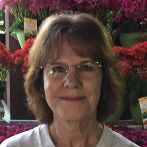 Meet your Posher, Anne